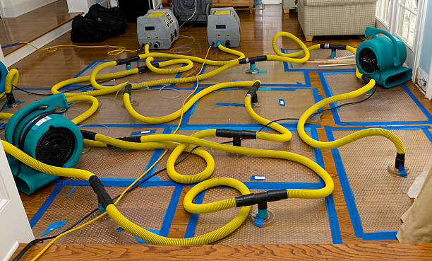 Professional Water Damage Restoration technician working in DeWitt, AR